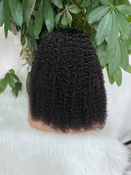 Afro curly natural glueless closure wig 18"